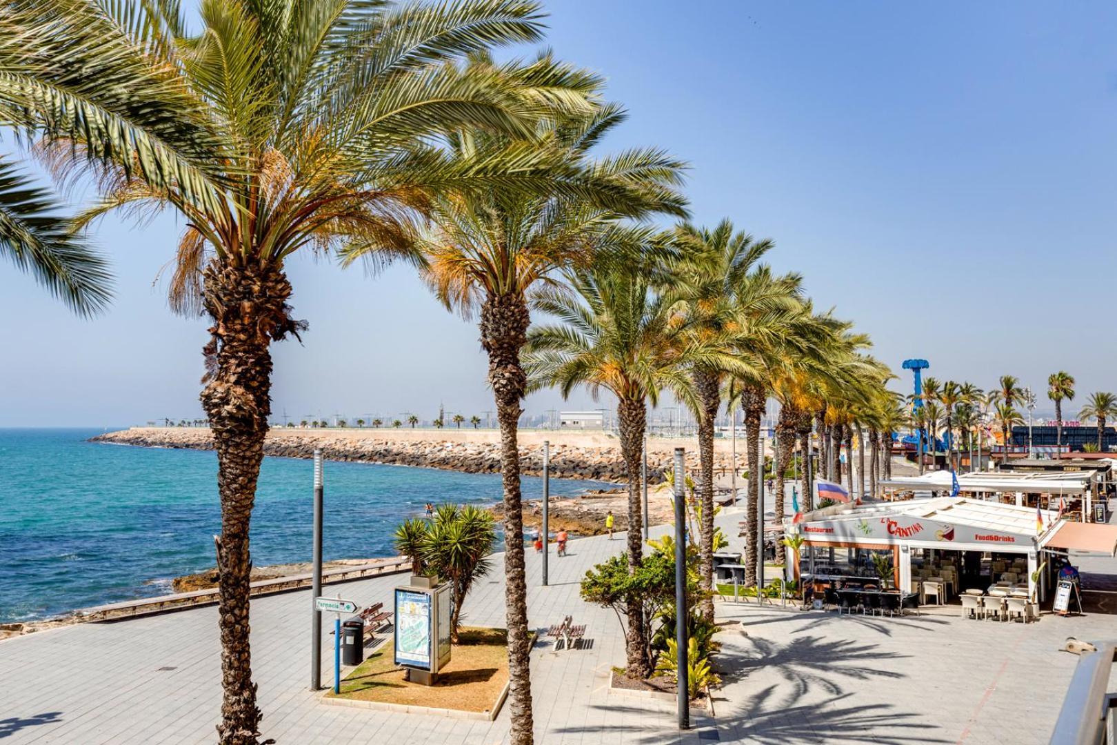 Lovely Apartment Near The Sea Torrevieja Buitenkant foto